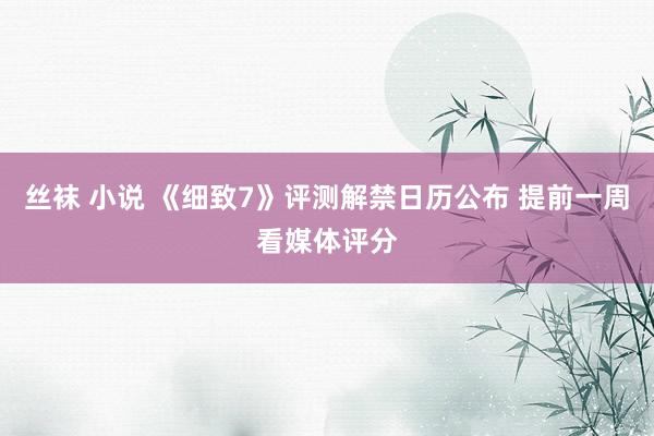 丝袜 小说 《细致7》评测解禁日历公布 提前一周看媒体评分