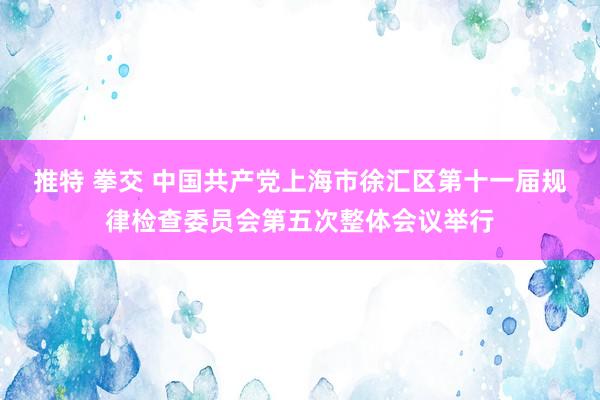 推特 拳交 中国共产党上海市徐汇区第十一届规律检查委员会第五次整体会议举行