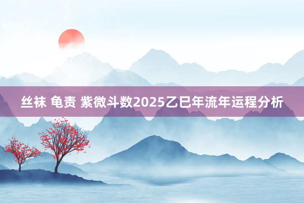 丝袜 龟责 紫微斗数2025乙巳年流年运程分析