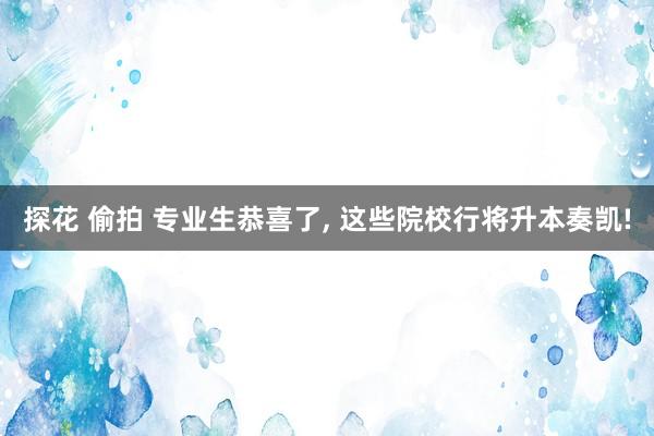 探花 偷拍 专业生恭喜了， 这些院校行将升本奏凯!