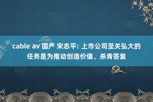 cable av 国产 宋志平: 上市公司至关弘大的任务是为推动创造价值、杀青答复