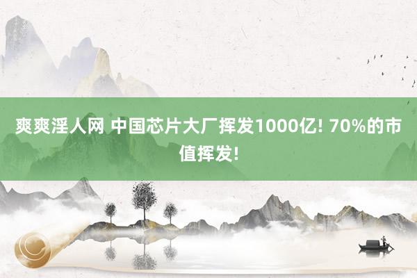 爽爽淫人网 中国芯片大厂挥发1000亿! 70%的市值挥发!