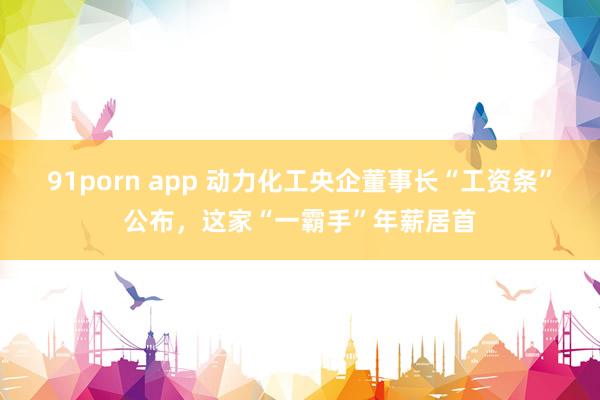 91porn app 动力化工央企董事长“工资条”公布，这家“一霸手”年薪居首